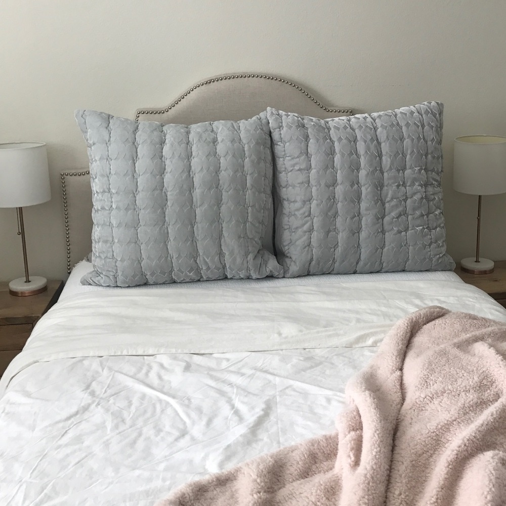 Anthropologie Velvet Euro Shams (Set of 2)